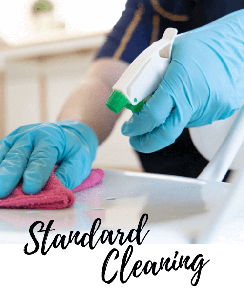 Standard Cleaning Services Brevard